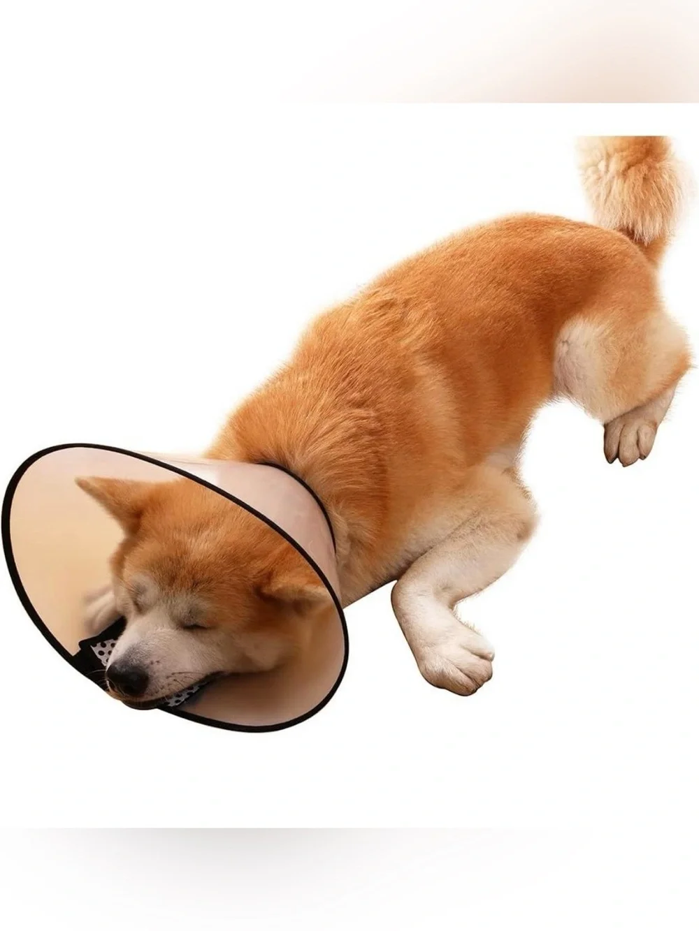 DCEZAETN Dog Cone Adjustable Pet Cone Dog Recovery Collar Comfy Soft Dog Cone Co